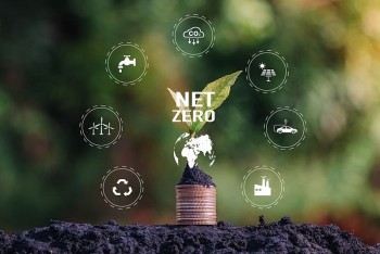 Việt Nam đẩy mạnh nghiên cứu khoa học công nghệ hướng tới Net Zero