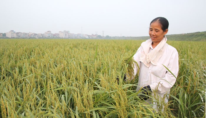 Sóc Sơn: Nâng tầm thương hiệu 