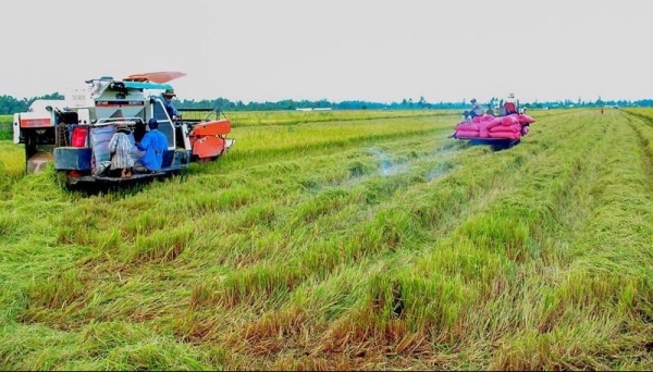 Đại Từ: Nông nghiệp khởi sắc, vượt chỉ tiêu tăng trưởng