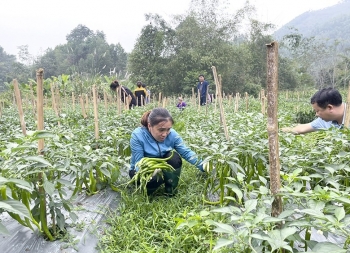 Xã Tân Thịnh: Nông sản hàng hóa mở lối thoát nghèo