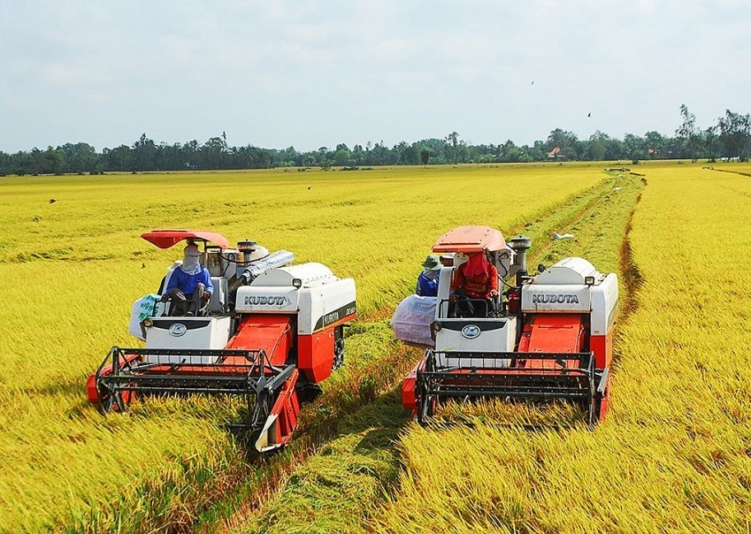 Thái Bình: Triển khai kế hoạch sản xuất trồng trọt năm 2025