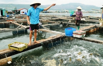 Tiền Giang: Khai thác tiềm năng thủy sản ven biển, hướng đến phát triển bền vững