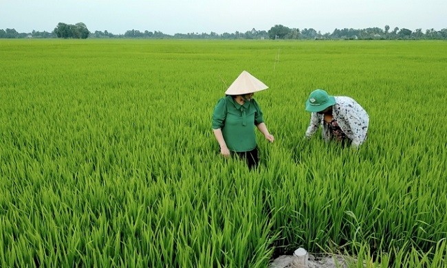 Năng lượng xanh, nông nghiệp sạch