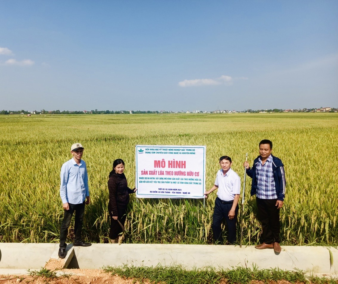 Khi nông nghiệp hữu cơ trở thành “chìa khóa” bứt phá miền Tây Nghệ An