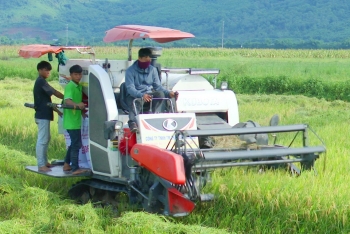 Nghi Xuân (Hà Tĩnh): Quyết tâm sản xuất vụ xuân thắng lợi