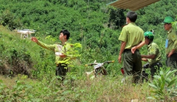 Lâm Đồng thành lập Hạt Kiểm lâm huyện Đạ Huoai mới