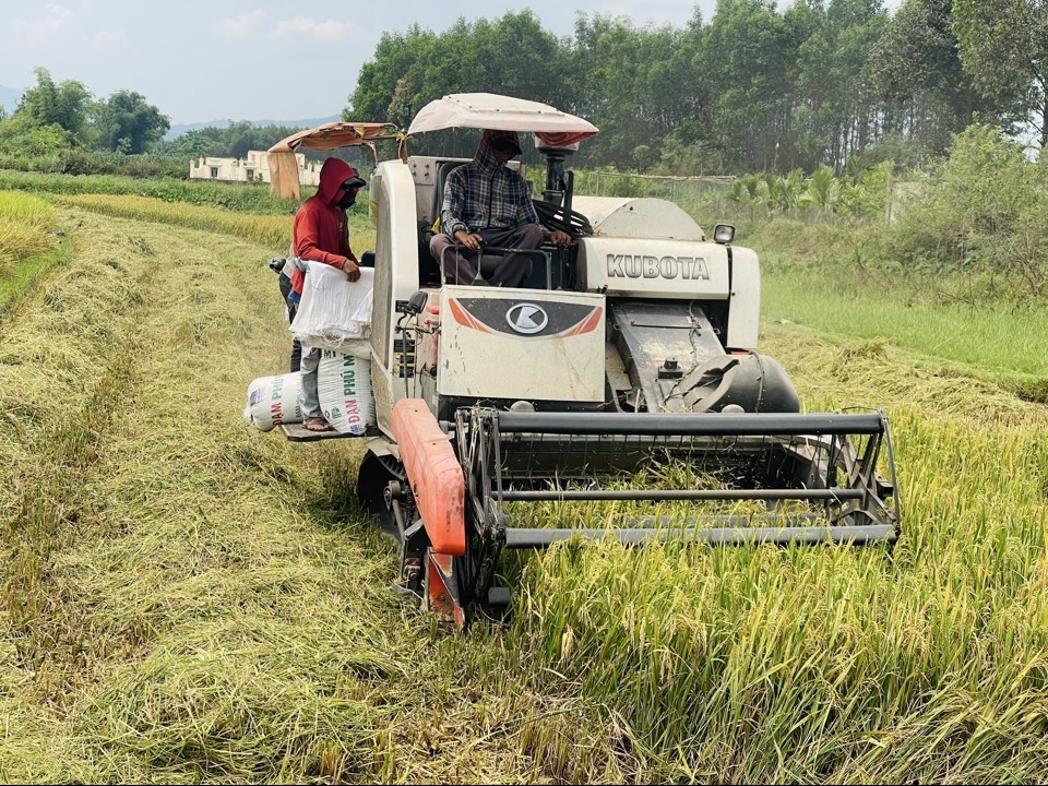 Quảng Ngãi: Chuyển đổi số trong nông nghiệp nâng cao năng lực cạnh tranh