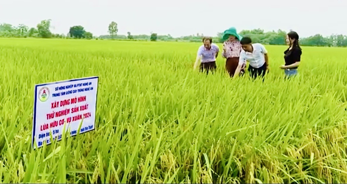 Thúc đẩy sản xuất nông nghiệp hữu cơ từ các mô hình khảo nghiệm: Bước đệm cho nền nông nghiệp bền vững