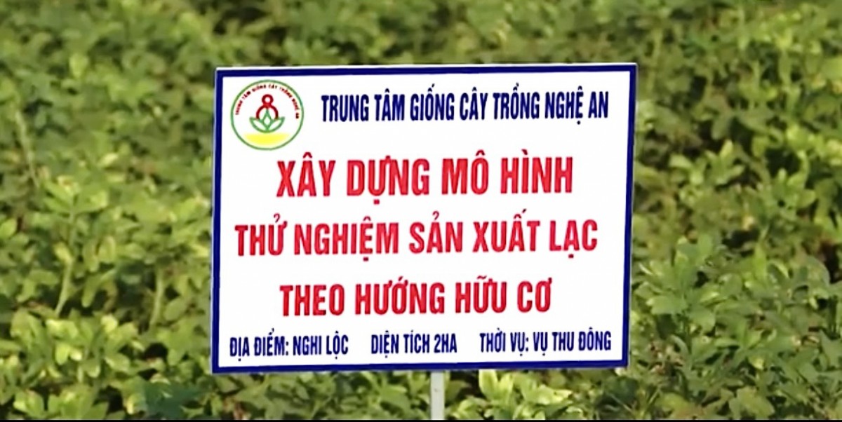 Thúc đẩy sản xuất nông nghiệp hữu cơ từ các mô hình khảo nghiệm: Bước đệm cho nền nông nghiệp bền vững