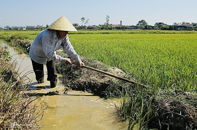 Thúc đẩy sản xuất nông nghiệp hữu cơ từ các mô hình khảo nghiệm: Bước đệm cho nền nông nghiệp bền vững