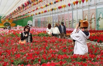 Hơn 15.000 người dân, du khách tham dự lễ khai mạc Festival hoa Đà Lạt