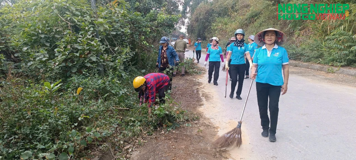 TP.Hải Phòng tăng cường công tác phòng chống cháy rừng trên đồi Thiên Văn