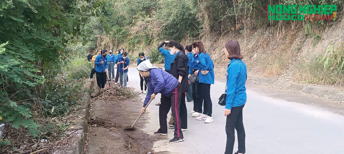 TP.Hải Phòng tăng cường công tác phòng chống cháy rừng trên đồi Thiên Văn