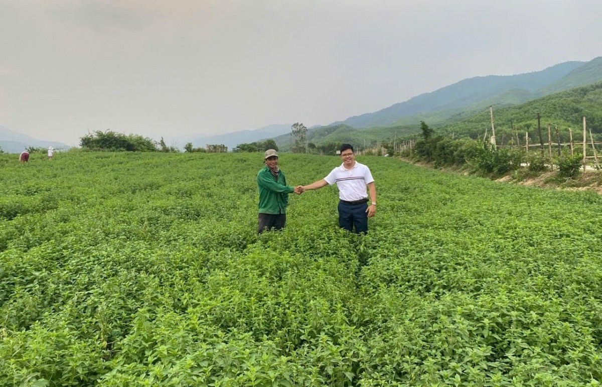 Chuỗi giá trị nông nghiệp: "Chìa khóa" để nâng cao giá trị nông sản Việt