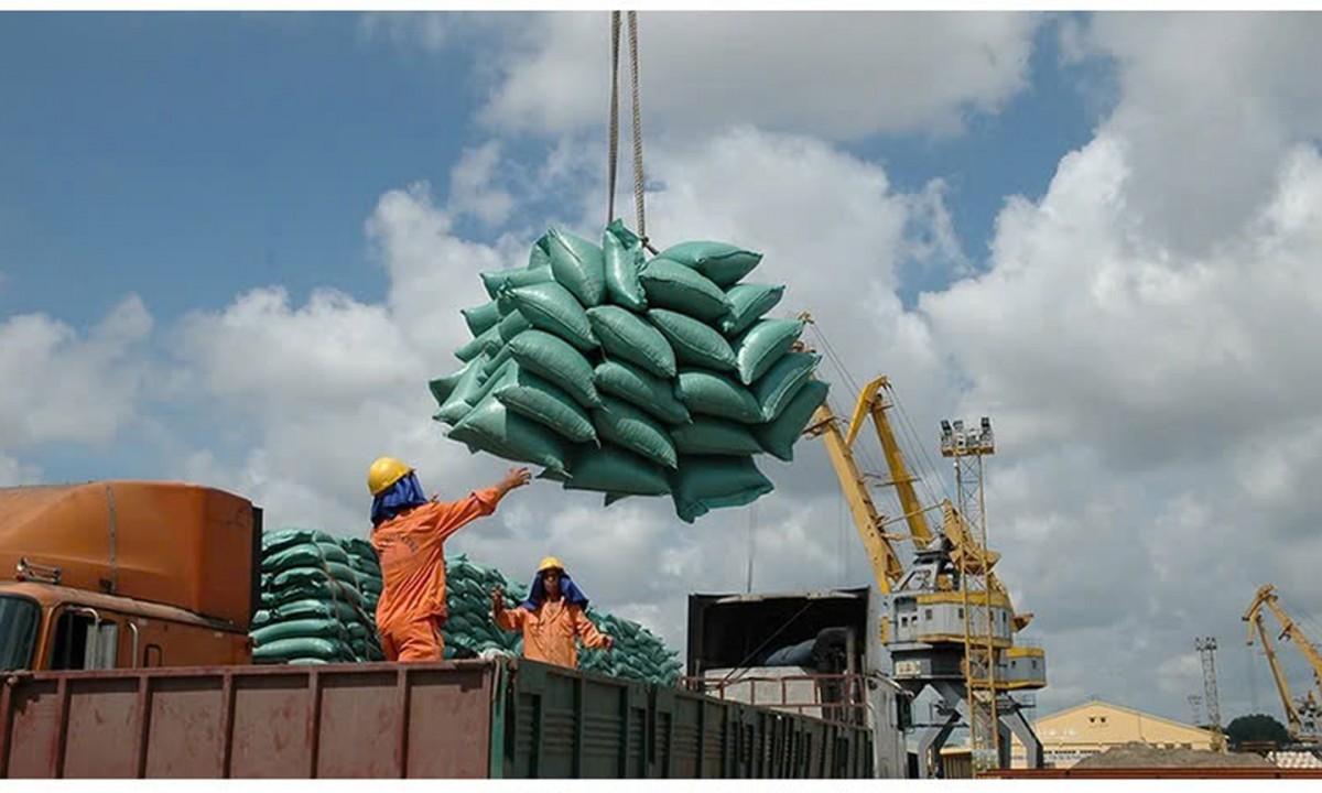 Xuất khẩu gạo sang Trung Quốc sụt giảm: Nỗ lực tìm lối thoát