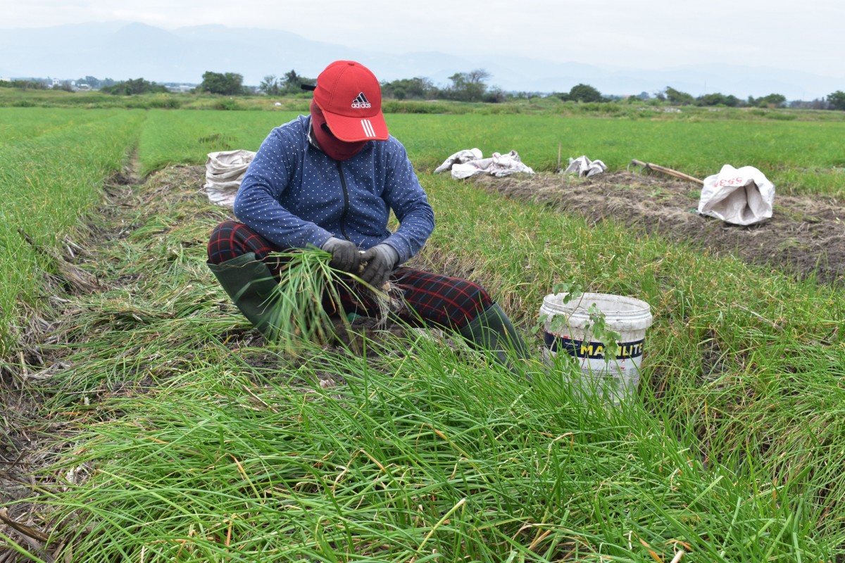 Cam Ranh thúc đẩy kinh tế tập thể, hợp tác xã năm 2025