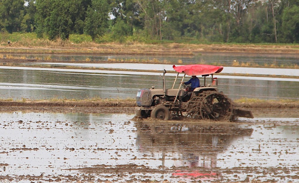 Long An tự tin với vụ lúa Đông Xuân 2024-2025