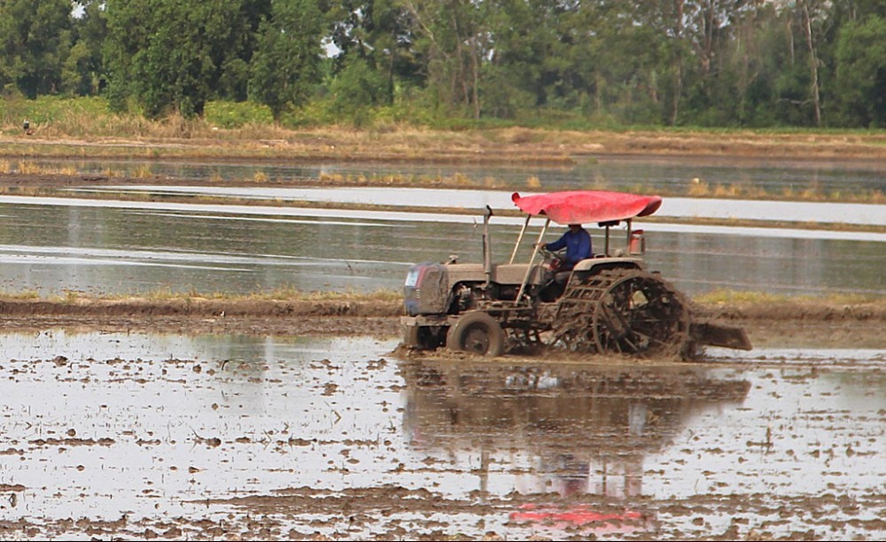 Long An tự tin với vụ lúa Đông Xuân 2024-2025