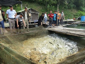 Cao Bằng: Phát triển nuôi trồng thủy sản hiệu quả