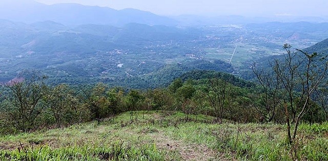 Hải Dương: Nỗ lực triển khai các giải pháp phòng chống cháy rừng vào mùa hanh khô