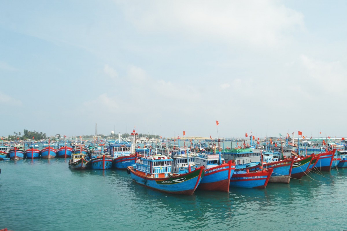 Kiểm ngư Việt Nam 2024: Những bước tiến trong cuộc chiến chống IUU