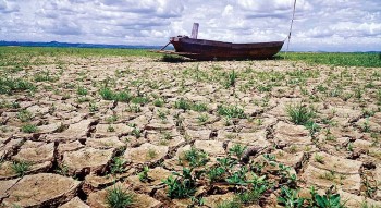 Sa mạc hóa đất tại Việt Nam: Thực trạng và giải pháp