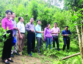 Tuyên Quang tăng cường đào tạo để phát triển sản xuất nông nghiệp hữu cơ