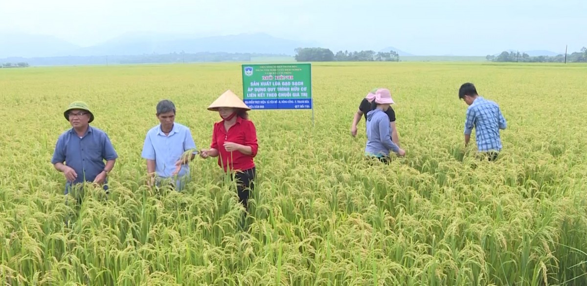 Thanh Hóa: Mở rộng cửa xuất khẩu nông sản nhờ mã số vùng trồng