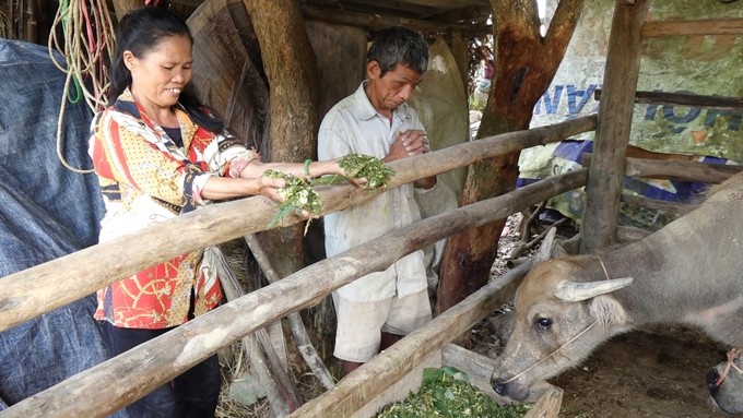 Phú Lương (Thái Nguyên): Nỗ lực giảm nghèo bền vững