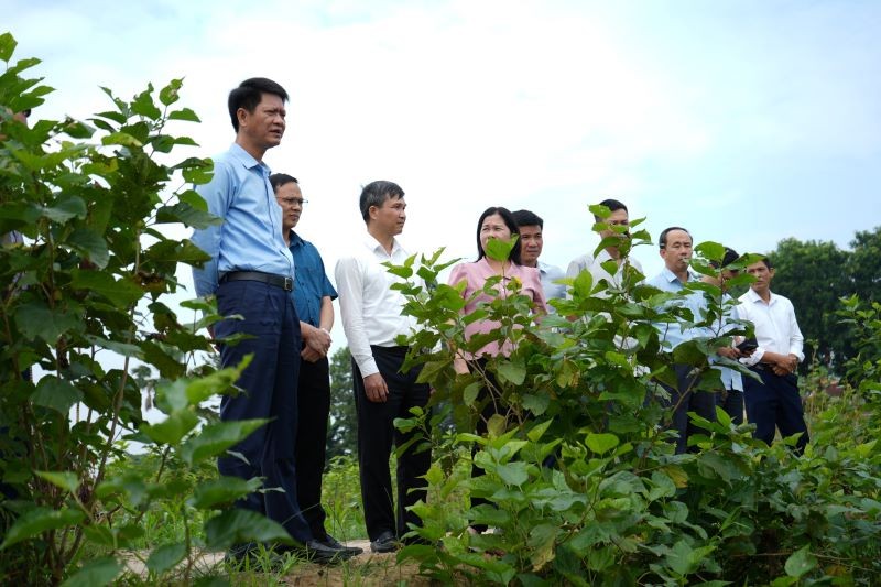 Ông Nguyễn Thế Phước, Phó Chủ tịch Thường trực UBND tỉnh Yên Bái (đầu tiên bên trái) kiểm tra việc khôi phục sản xuất nông nghiệp trên địa bàn tỉnh.