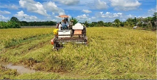 Nông nghiệp thông minh: Chìa khóa nâng cao giá trị nông sản Trà Vinh