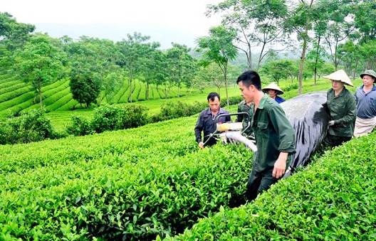 Vai trò Hợp tác xã và những nhiệm vụ mới đối với Nông nghiệp hữu cơ