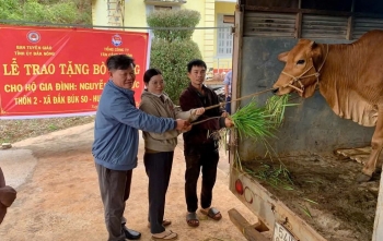 Ban Tuyên giáo Tỉnh ủy Đắk Nông tặng bò sinh sản cho hộ nghèo tại huyện Tuy Đức