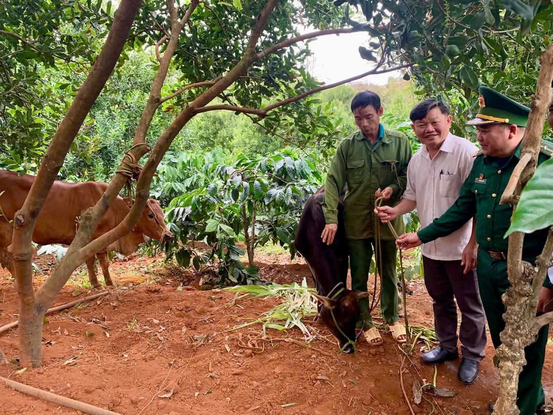 Ban Tuyên giáo Tỉnh ủy Đắk Nông tặng bò sinh sản cho hộ nghèo tại huyện Tuy Đức