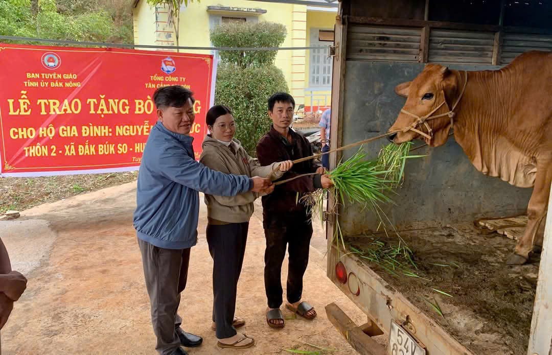 Ban Tuyên giáo Tỉnh ủy Đắk Nông tặng bò sinh sản cho hộ nghèo tại huyện Tuy Đức