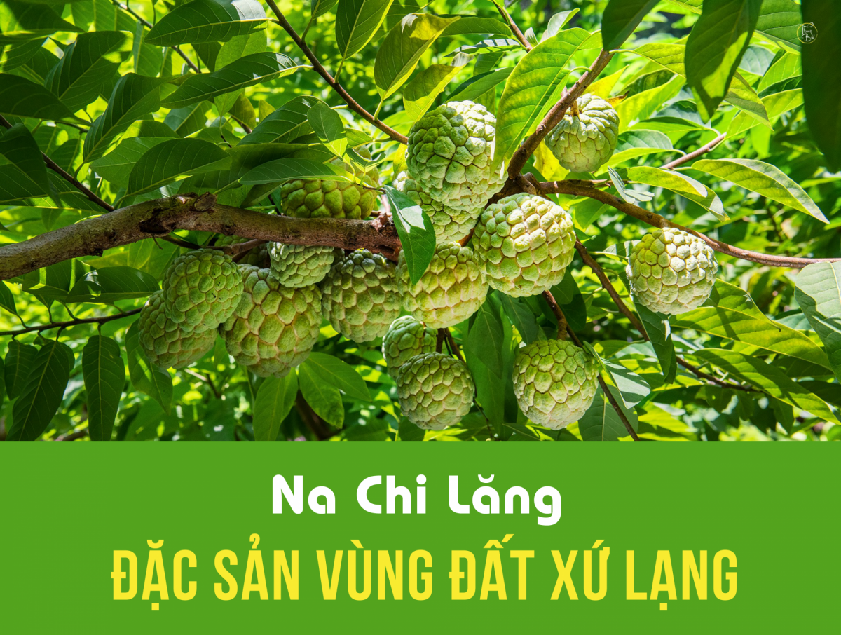 Na Lạng Sơn: Hương vị ngọt ngào trên vùng đất biên ải