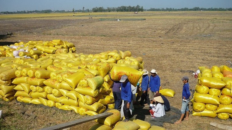 Philippines đối mặt với tình trạng bất ổn về an ninh lương thực