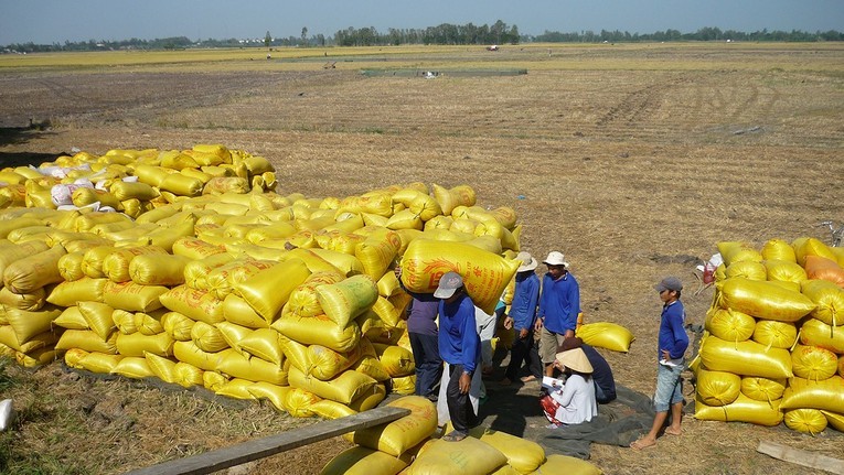 Philippines đối mặt với tình trạng bất ổn về an ninh lương thực