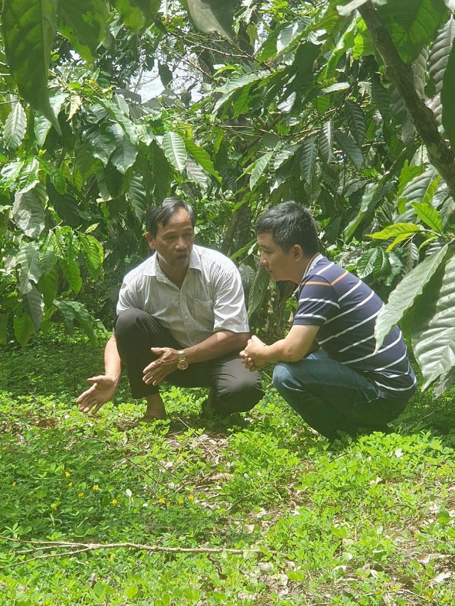 Chuyển đổi từ nông nghiệp truyền thống sang nông nghiệp hữu cơ: Chặng đường nhiều thử thách