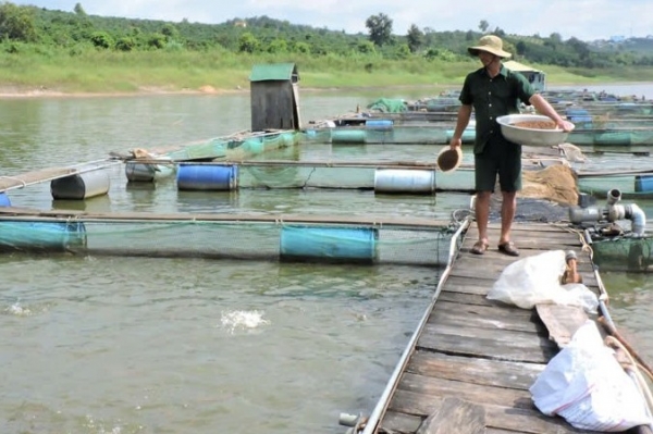 Kon Tum: Truy xuất nguồn gốc sản phẩm nông lâm thủy sản