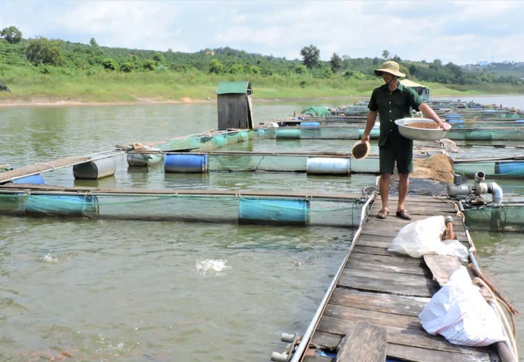 Kon Tum: Truy xuất nguồn gốc sản phẩm nông lâm thủy sản