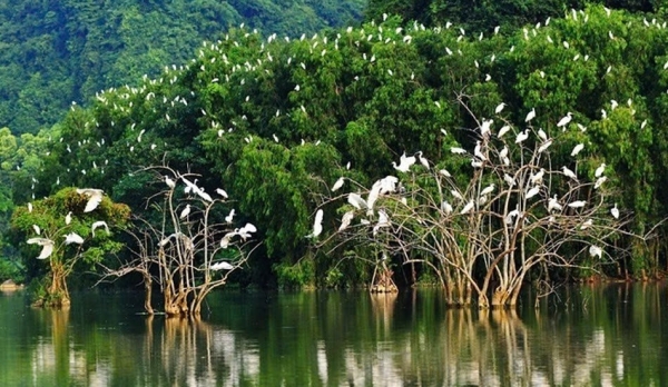 Kon Tum: Thực thi pháp luật, tuyên truyền công tác bảo tồn đa dạng sinh học và bảo vệ các loài hoang dã