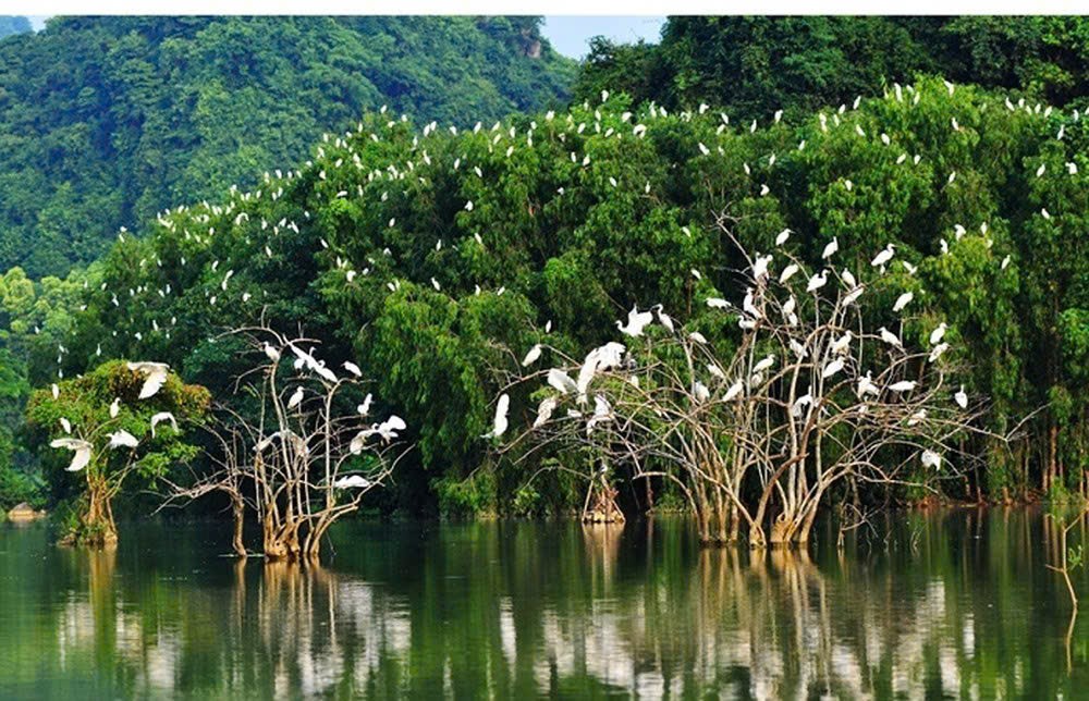 Kon Tum: Thực thi pháp luật, tuyên truyền công tác bảo tồn đa dạng sinh học và bảo vệ các loài hoang dã