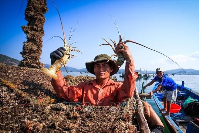 Ngành thủy sản Việt Nam 2025: Vượt mốc 10 tỷ USD, hướng tới tăng trưởng bền vững