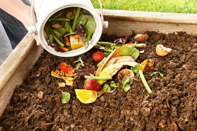 Ủ Phân Compost: Bí quyết cho ruộng vườn xanh tươi