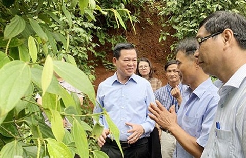 Đào tạo và chuyển giao công nghệ quyết định thành bại trong sản xuất nông nghiệp hữu cơ