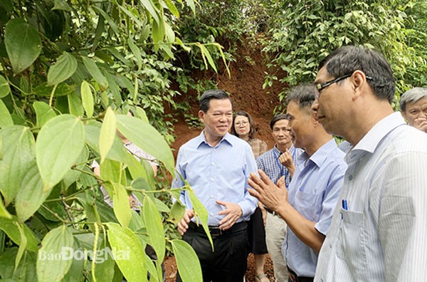 Đào tạo và chuyển giao công nghệ quyết định thành bại trong sản xuất nông nghiệp hữu cơ