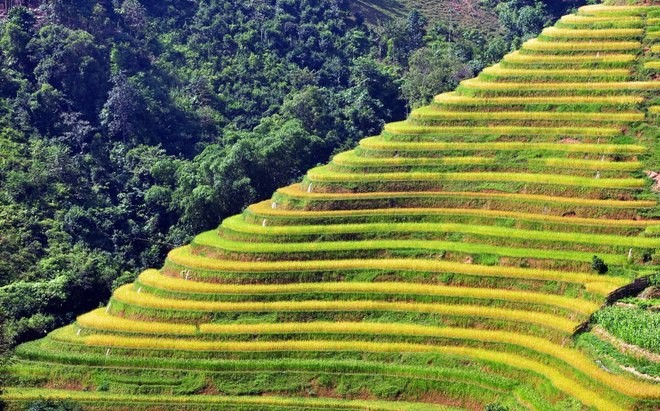 Ruộng bậc thang - Kiệt tác của thiên nhiên và con người