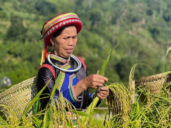 Thế mạnh của Bắc Kạn trong phát triển nông nghiệp hữu cơ