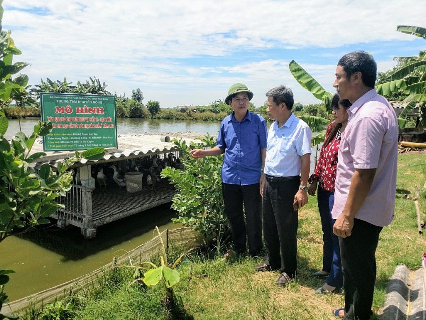 mô hình nuôi vịt biển 15 an toàn sinh học gắn với tiêu thụ sản phẩm